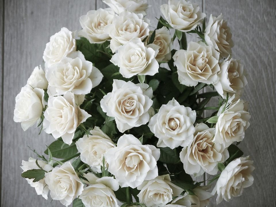 Flores para un aniversario de boda número 50 ¿cuáles son las más apropiadas?